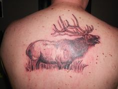 24 Best Elk tattoo ideas | elk tattoo, hunting tattoos, deer tattoo