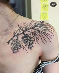 Discover 32 Pinecones ☆ and Pinecone Tattoo Ideas | pine tattoo, botanical  tattoo, tree branch tattoo and more