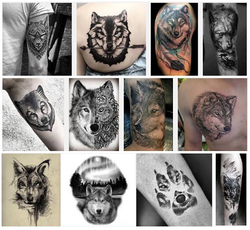 20 Best Wolf Tattoo Designs With Meanings!