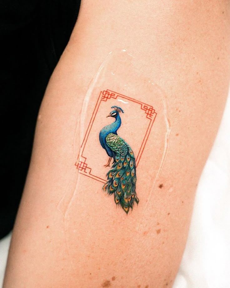 30+ Peacock Tattoo Inspirations