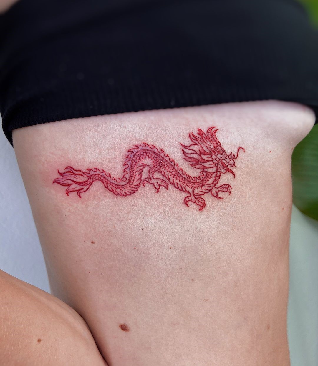 Dragon Tattoo Horizontal