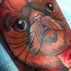 15 Persian Tattoo Art ideas | persian tattoo, cat tattoo, tattoos