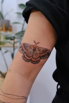 Discover 570 Ink and Botanical Tattoo Ideas | wonderland tattoo, skin art, love tattoos, piercing tattoo and more