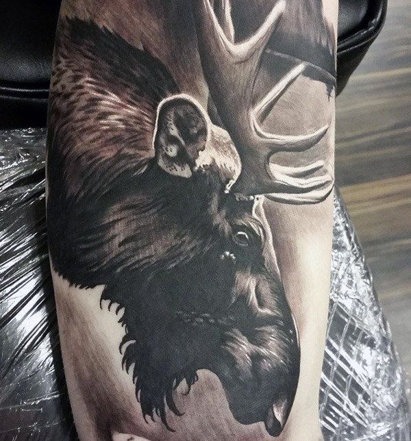 60 Moose Tattoo Designs for Men