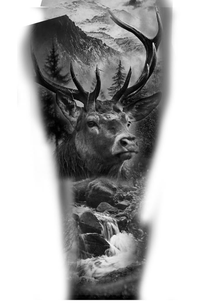 Pin by Catherine Pettibone on Tattoos | Deer tattoo designs, Animal sleeve  tattoo, Forest tattoos