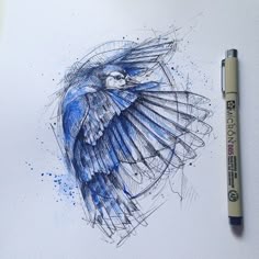 26 Best Blue Jay tattoo ideas | blue jay tattoo, bluebird tattoo, blue jay