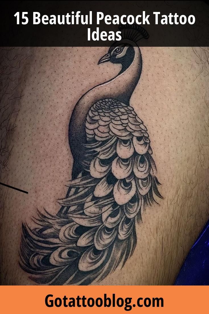 15 Beautiful Peacock Tattoo Ideas
