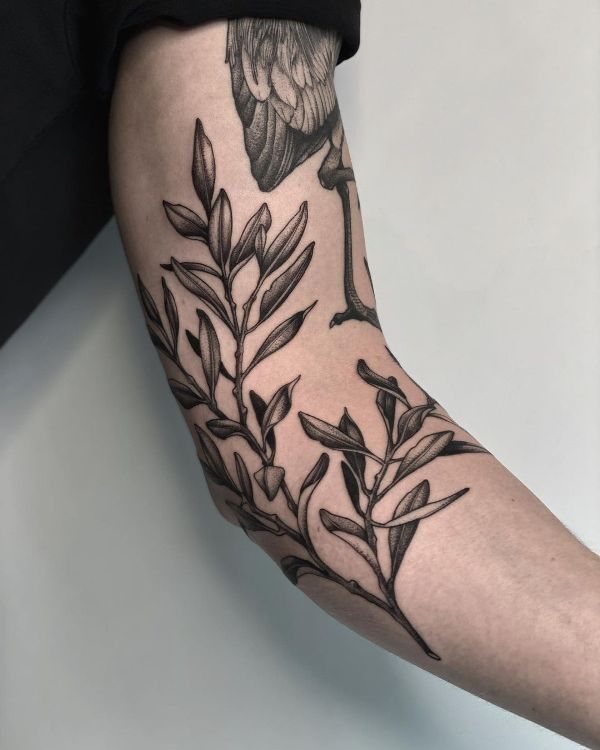 30+ Amazing Olive Branch Tattoo Designs with Meanings and Ideas - Body Art Guru