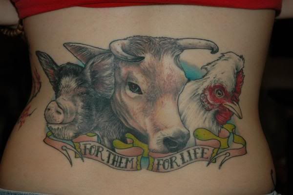 Site Suspended - This site has stepped out for a bit