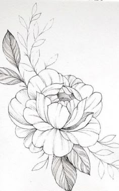 34 Gardenia Tattoo ideas | flower tattoos, flower tattoo, gardenia tattoo