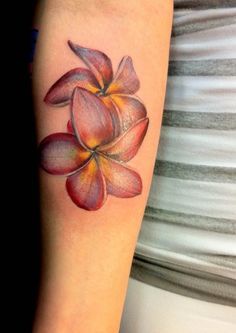 Plumeria Tattoo on Pinterest | Tattoos and body art, Flower ...