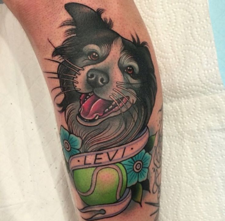 18 Best Border Collie Tattoo Designs