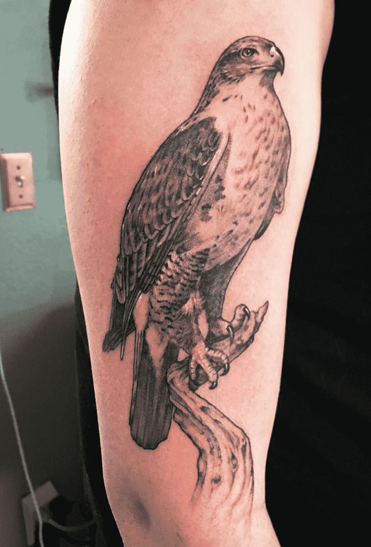 Hawk Tattoo Design Ideas Images