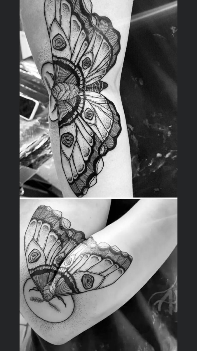 Moth tattoo idea
