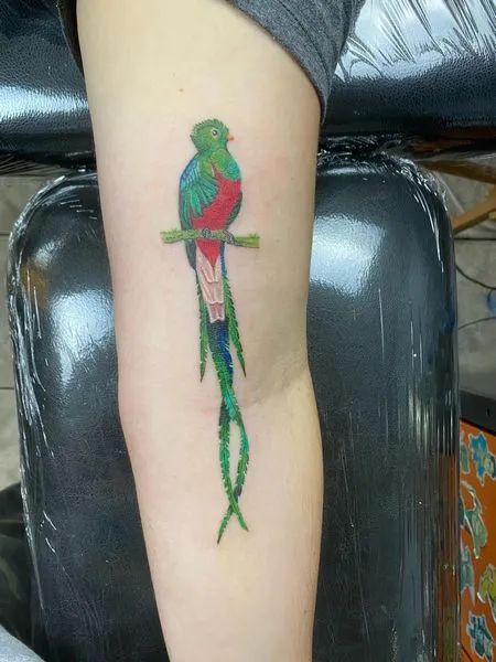 30 Amazing Bird Tattoo Design With Meaning - Tattoo Pro