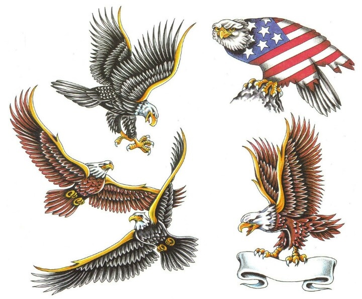 American bald #eagles in color