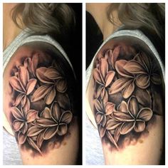 52 Frangipani ideas | plumeria tattoo, frangipani tattoo, flower tattoos