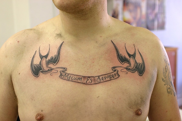 swallows and scroll tattoo - a photo on Flickriver