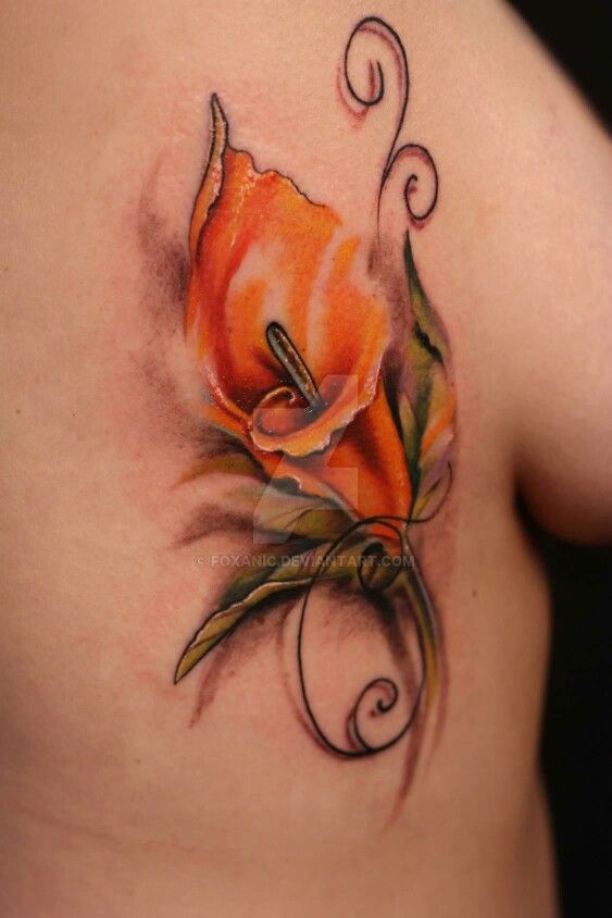 Calla lily..different color & location More