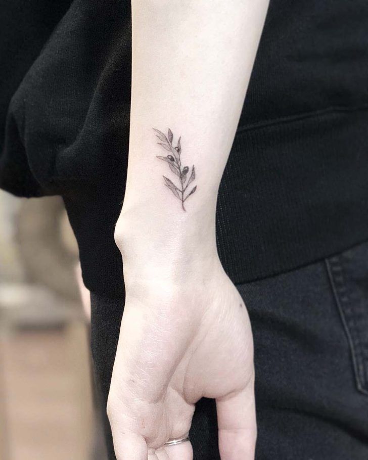 49+ Beautiful Olive Branch Tattoo Designs and Meaning For 2025