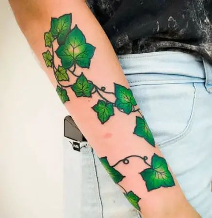 15 Ivy Tattoos Symbolizing Fertility, Security, Adoration, and Immortality