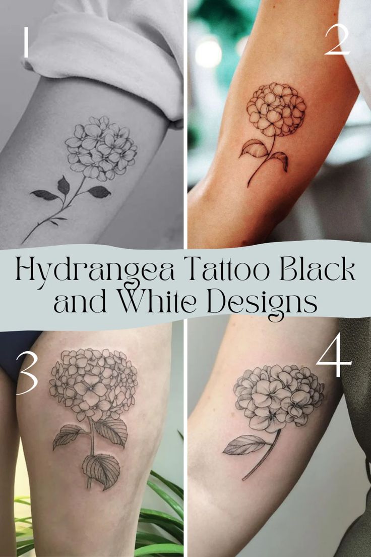 Pretty Hydrangea Flower Tattoo Ideas + Meaning