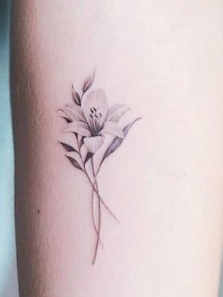 250+ Lily Tattoo Designs With Meanings (2024) Flower ideas & Symbols