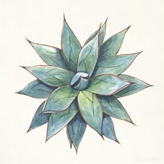10 Tattoo Agave ideas | agave, agave plant, plant tattoo