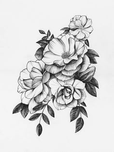 Discover 15 Gardenia Tattoo Ideas and Gardenia Tattoo Black and White Ideas | peony flower tattoo sketch, magnolia tattoo, traditional gardenia tattoo and more