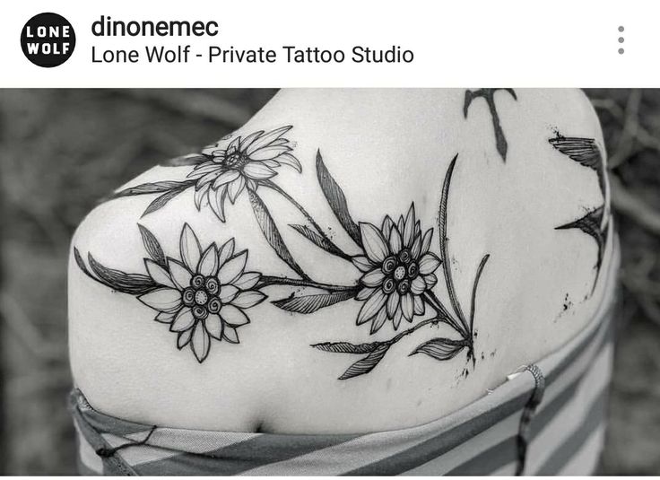 Pin by Taylor Brandon on tattoos | Edelweiss tattoo, Tattoos, Tattoo designs  and meanings