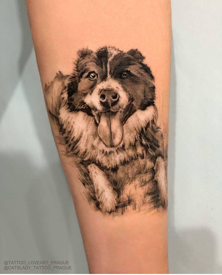 17 Coolest Border Collie Tattoos