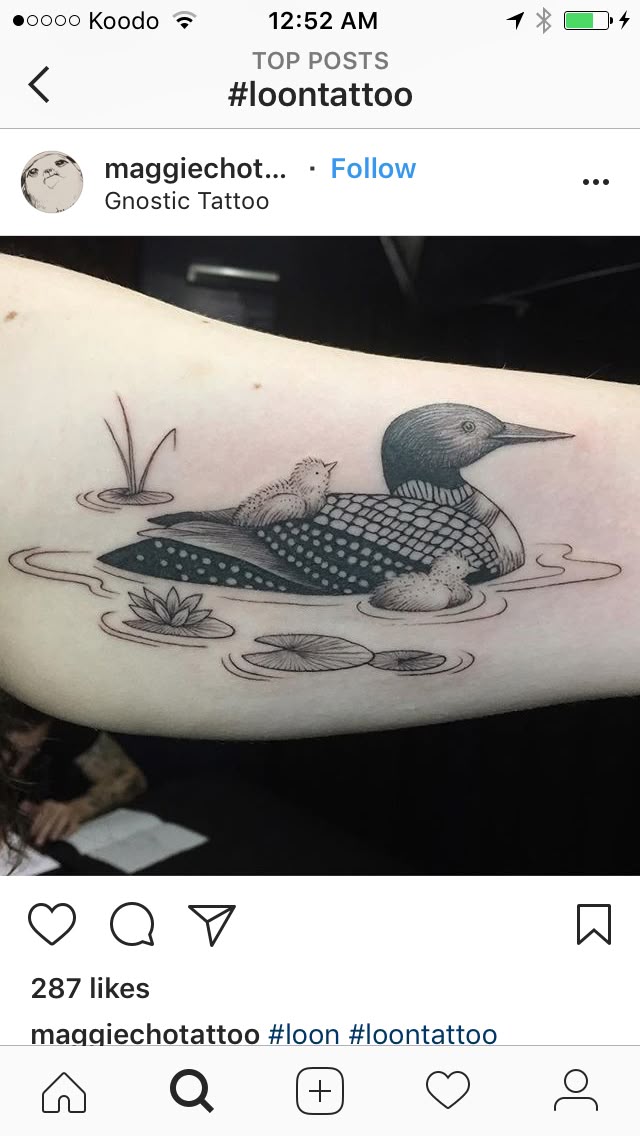 Pin by Debbie Yoder Johnson-Kappes on Tatoos | Loon tattoo, Wildlife tattoo,  Tattoo illustration