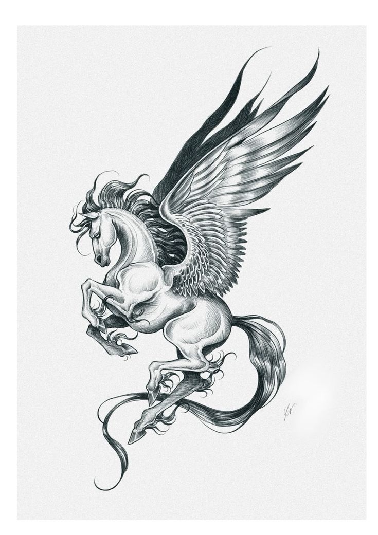 Pegasus