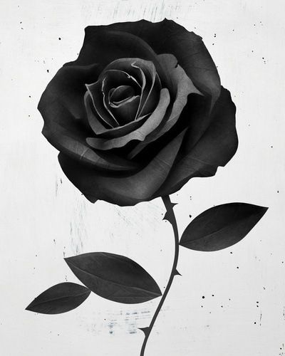 Graphic 3D rose drawing tattoo – Best Tattoo Ideas Gallery