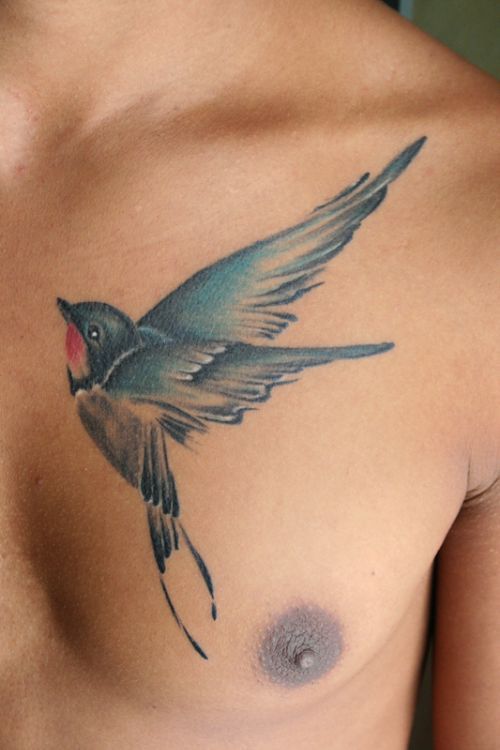 52 Traditional Swallow Tattoo Designs and Meaning
