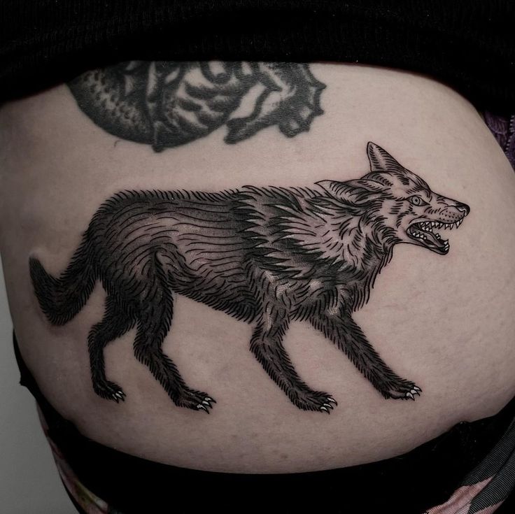 Coyote Tattoo, traditional coyote tattoo, realistic coyote tattoo, simple coyote  tattoo