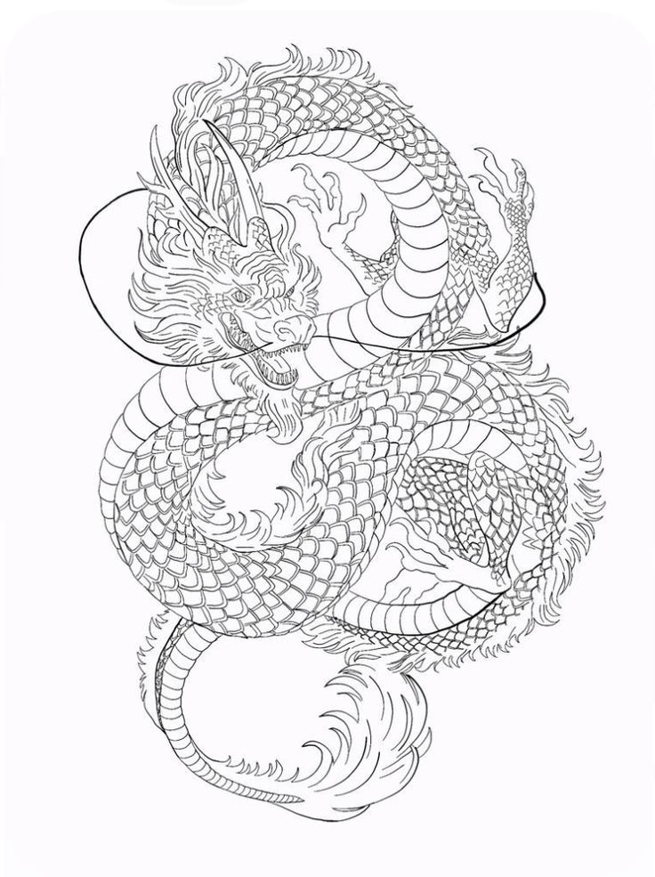 Dragon Fine Line Tattoo