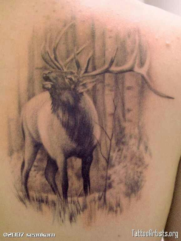 Elk