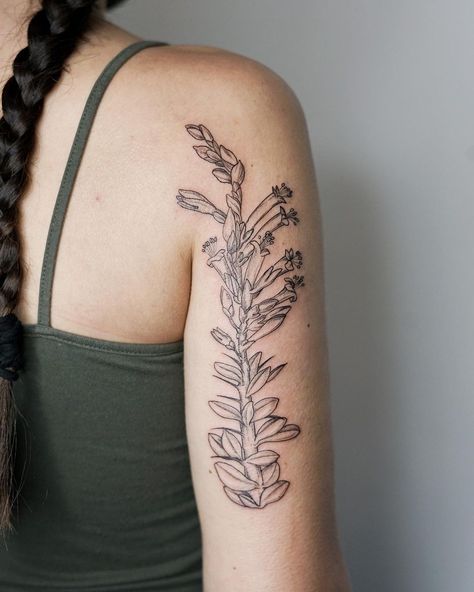 Yucca Plant Tattoo
