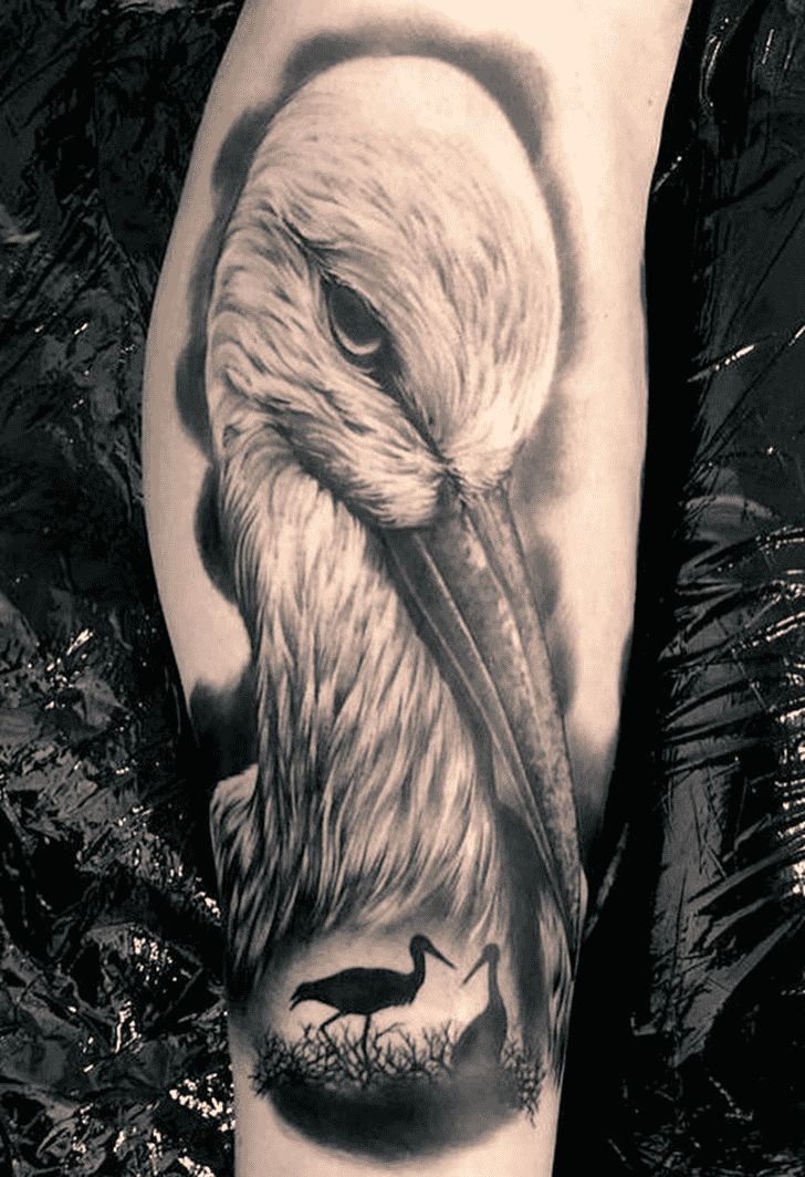 Stork Tattoo Design Ideas Images