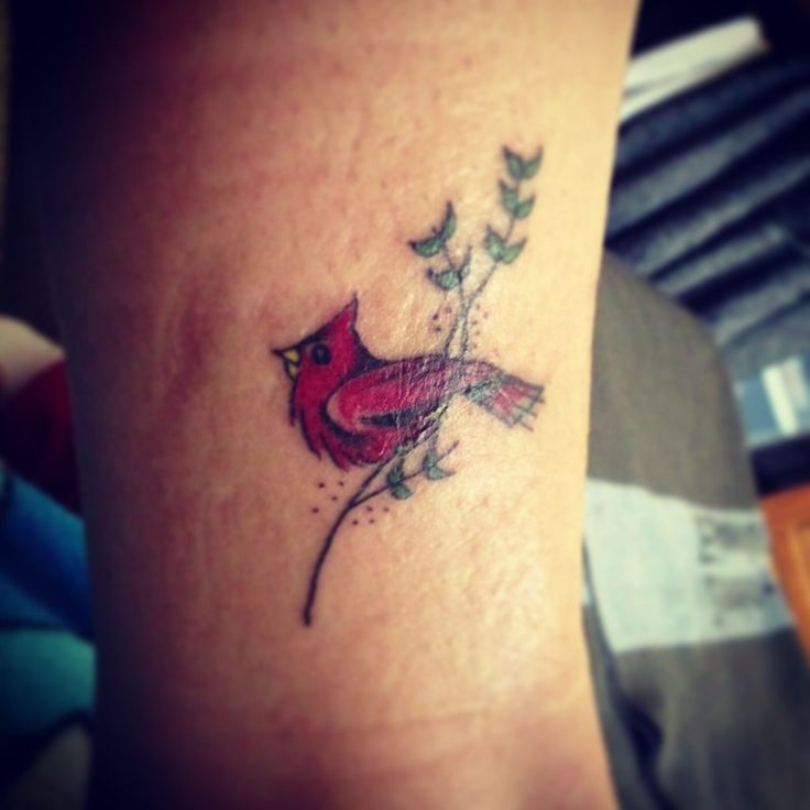 180+ Best Cardinal Tattoos Designs With Meanings (2025)