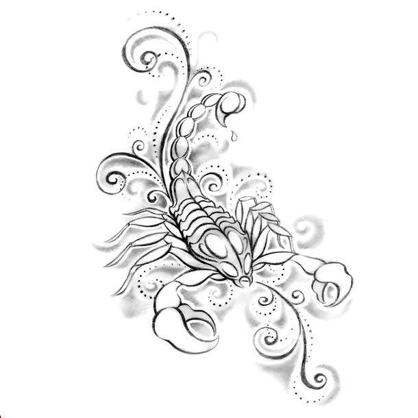 22 Coolest Scorption Tattoo Designs