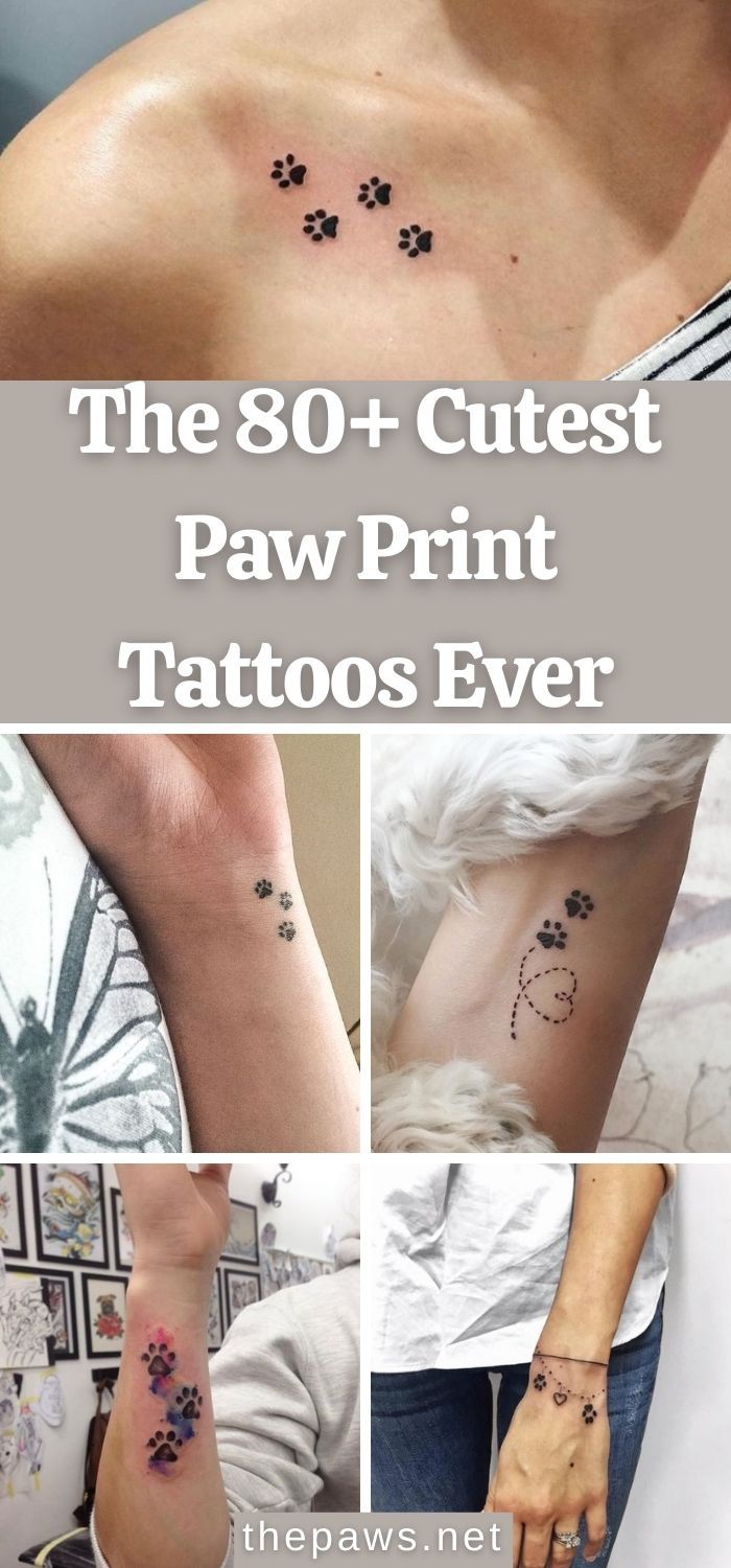 The 80+ Cutest Paw Print Tattoos Ever - The Paws