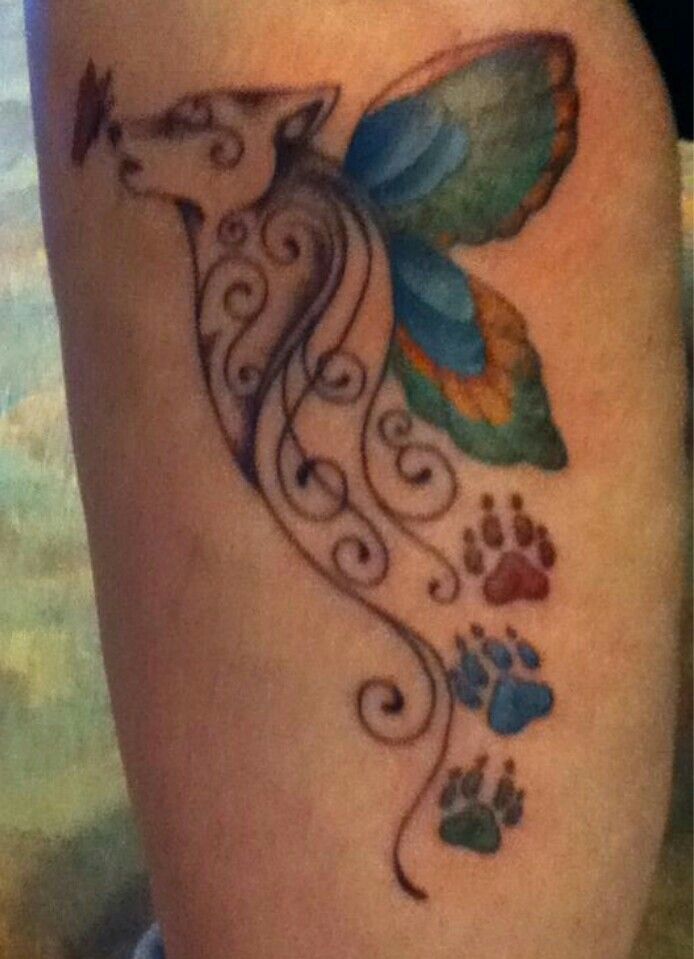 Pin by Kristi Froslie Cranston on Flower tattoo | Butterfly tattoo designs, Mens butterfly tattoo, Butterfly