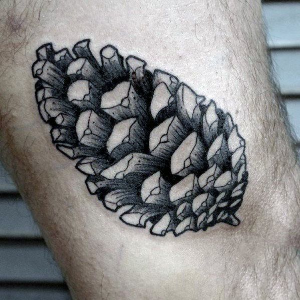 60 Pine Cone Tattoo Designs for Men