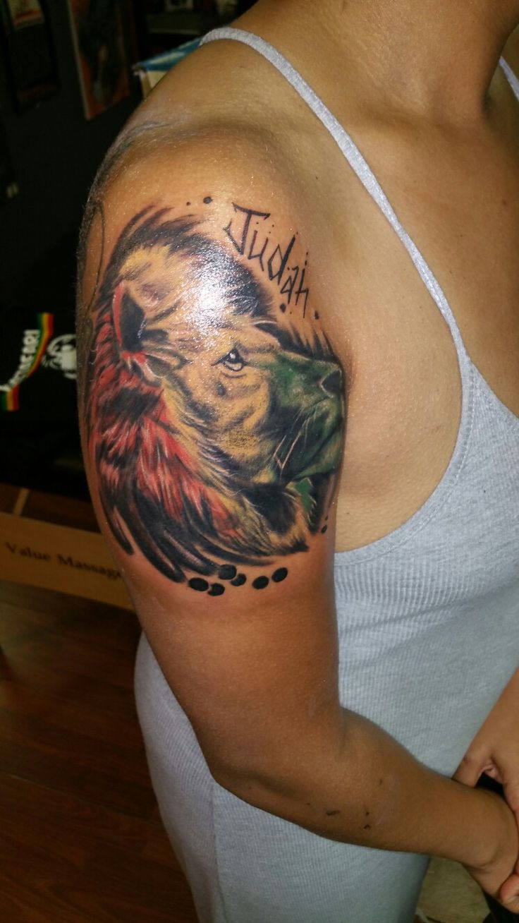 My Lion of Judah