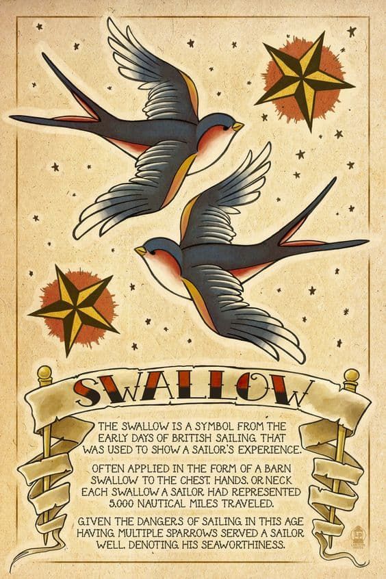 14 Swallow Tattoo Designs On Different Part Of Your Body