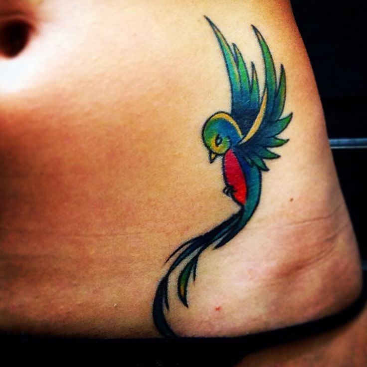guatemalan hummingbird tattoo - Google Search | Tatuaje de quetzal, El quetzal, Tatuaje artístico