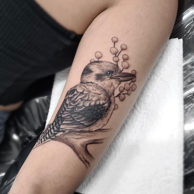 TATTOOS BY ACACIA {Uh•Kay•Sha} on Instagram: "Fun one from todayyy! Finally got to tattoo a kookaburra 🙌🏼 thanks a million @caitlanrenea 🌸 • @kulturewavestat… | Tattoos, Family tattoos, Wildlife tattoo