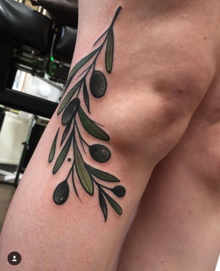 Pin by Stewart Warnock on Tattoo Ideas | Olive tattoo, Branch tattoo, Tattoos